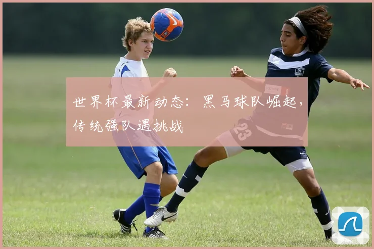 世界杯最新动态:黑马球队崛起,传统强队遇挑战