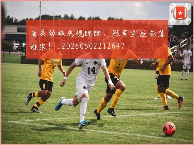 南美劲旅虎视眈眈,冠军宝座花落谁家!_20260602212647